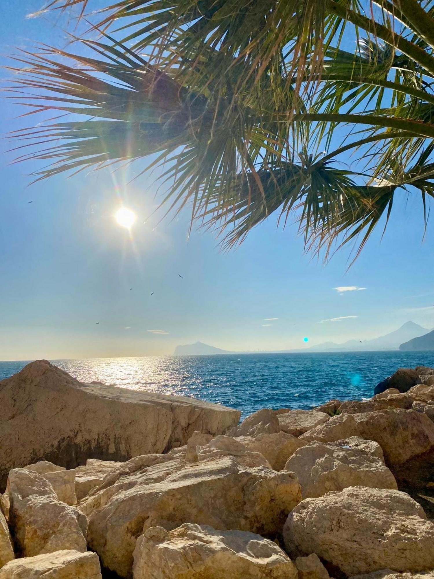 Natalie Calpe Sun 100M To The Beach Center Luaran gambar